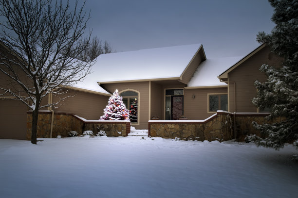 魔法光照亮白雪覆盖的树和家圣诞节早晨。图片下载