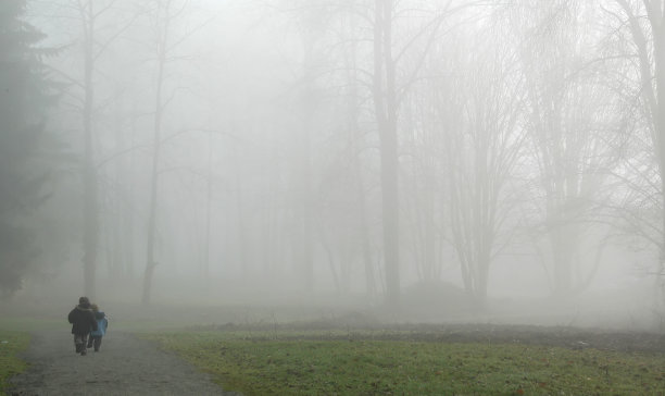 在雾中图片下载