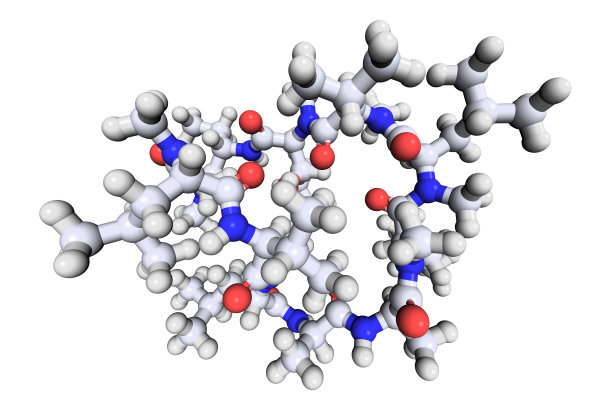 DrugModel:环孢霉素图片下载