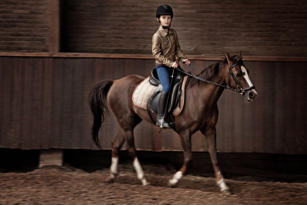 骑马的女孩图片下载