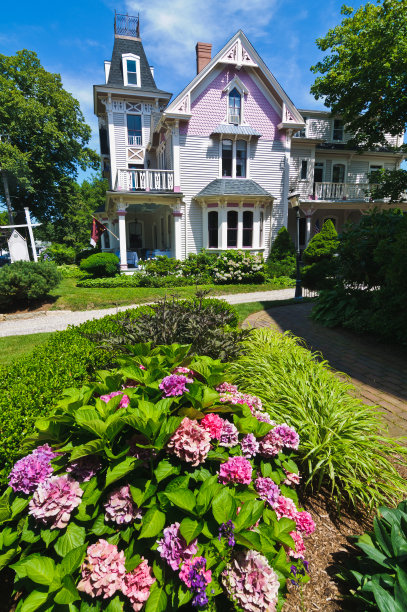 维多利亚时代的绣球花图片下载