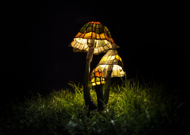 蒂凡尼蘑菇灯点亮草地图片下载