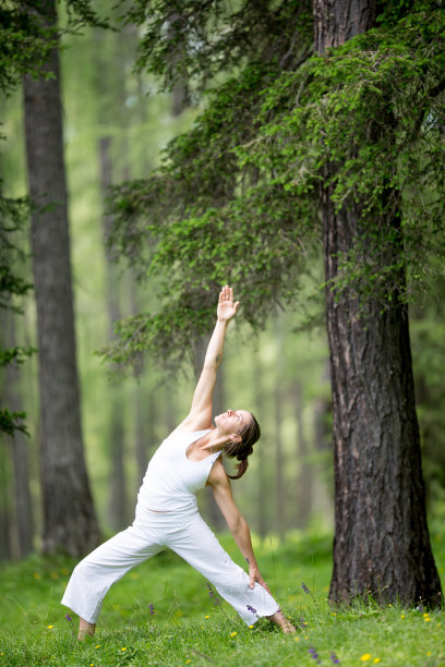 在树林里练习瑜伽图片下载