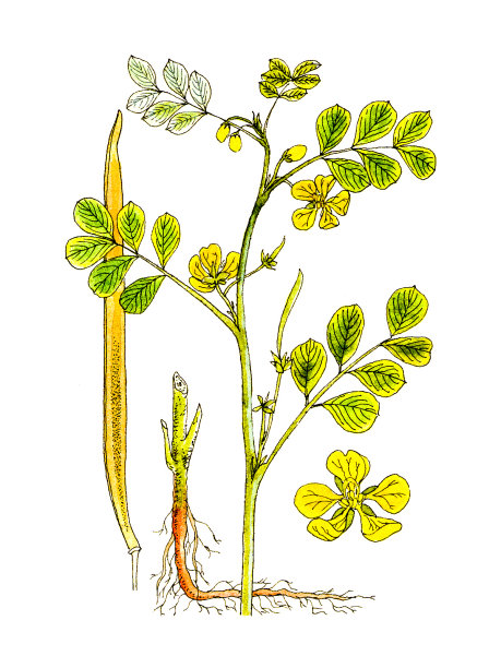 植物工厂。图片下载