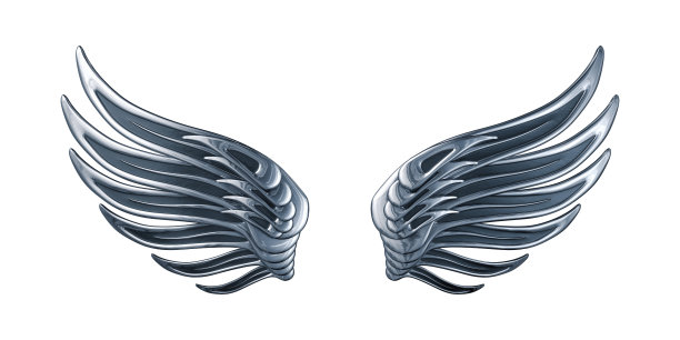 光泽银色翅膀图片下载