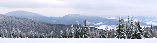山顶全景图片下载