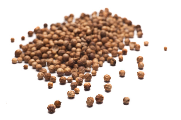 香菜种子图片下载