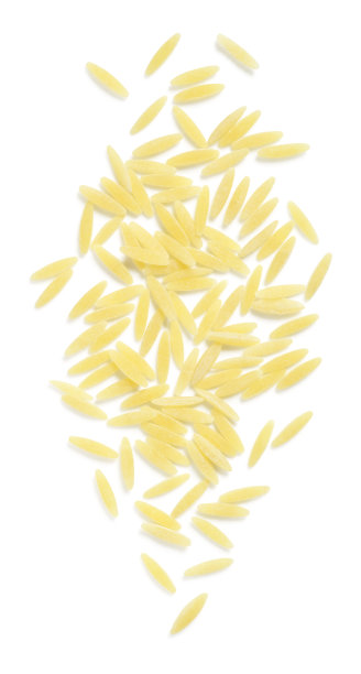 白底米粒意面图片下载