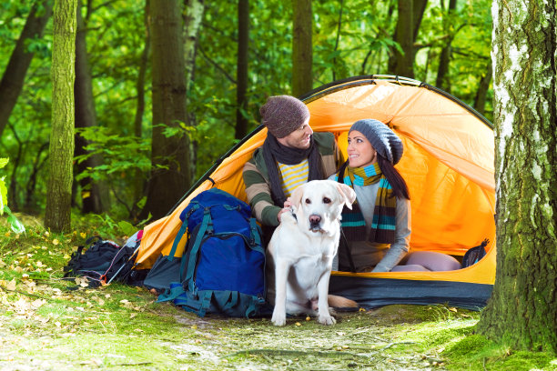 爱的年轻夫妇与狗露营图片下载