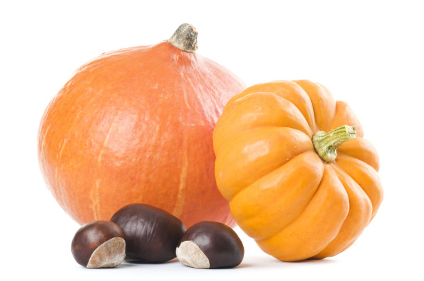 送秋瓜栗子。图片下载