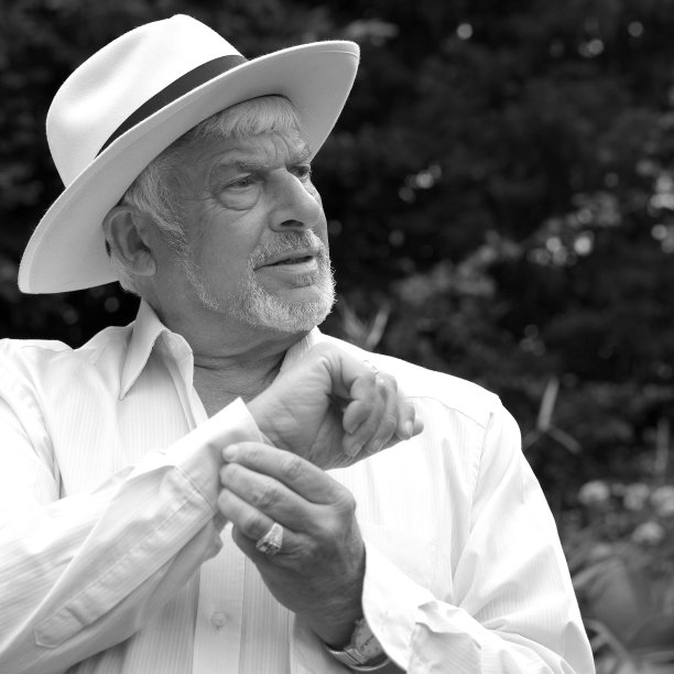 英国人的肖像图片下载