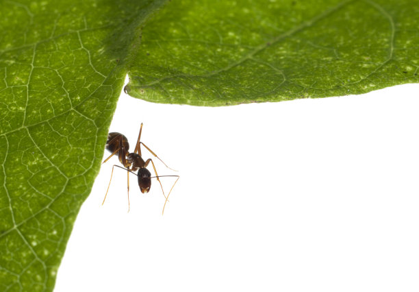走出洞穴图片下载