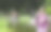 穿着肥皂泡和服的女孩图片下载