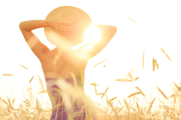 年轻女子在麦田里休息图片下载