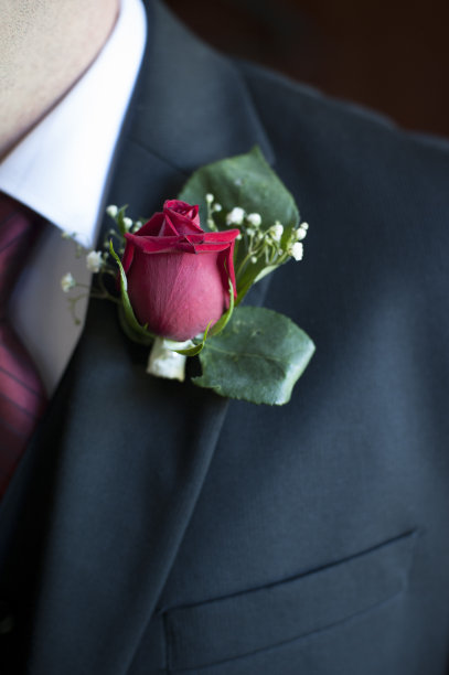 玫瑰小花图片下载