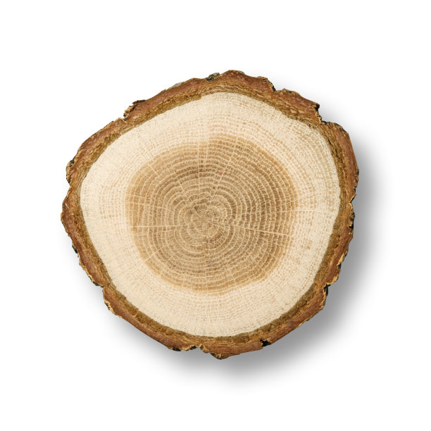 木材纹理图片下载