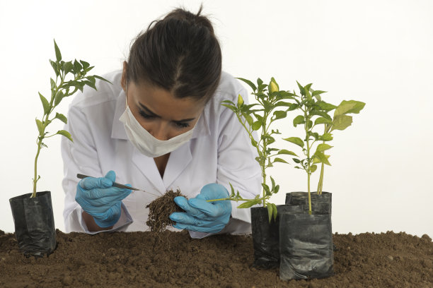 遗传实验室图片下载