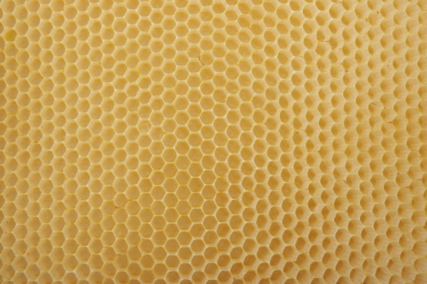 蜂窝背景图片下载