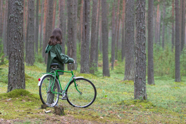 安静的森林图片下载