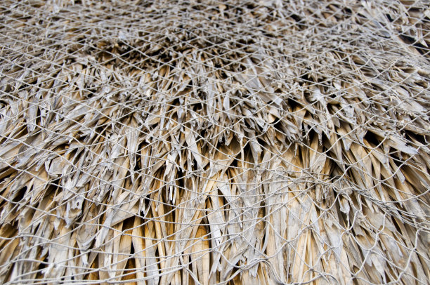 茅草屋顶图片下载