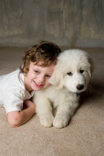 男孩和他的狗图片下载