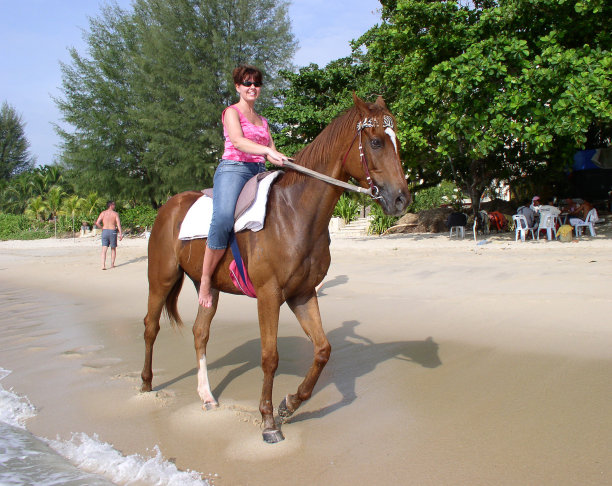 海滩女人骑马在槟城马来西亚股票照片图片下载