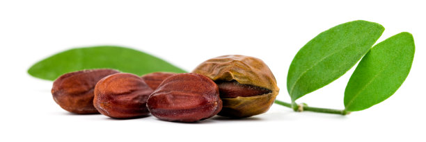 荷荷芭图片下载