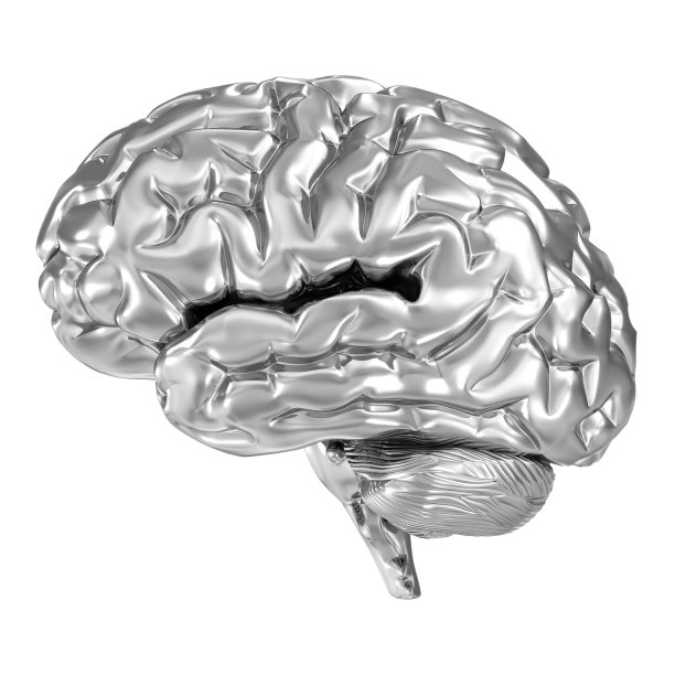 银的大脑图片下载