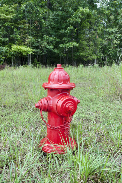 树林里的消防栓图片下载