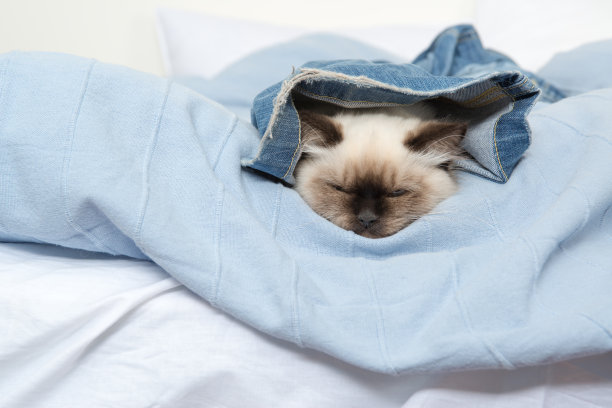 时间玩图片下载