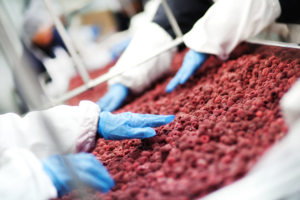 食品行业工作。人,人类的工人。图片下载