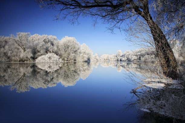 湖在冬季景观霜雪覆盖森林图片下载