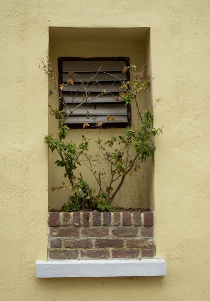 凹窗和砖花盒图片下载