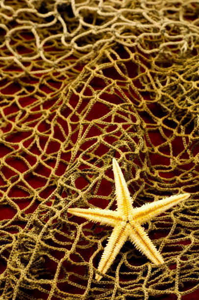 海洋主题背景图片下载