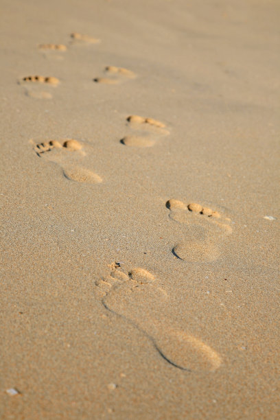 的足迹图片下载