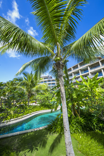 热带花园图片下载