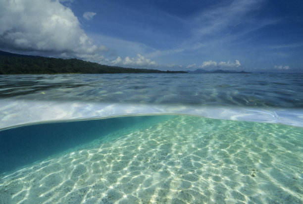 上方和下方图片下载