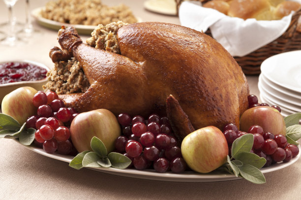 感恩节火鸡图片下载