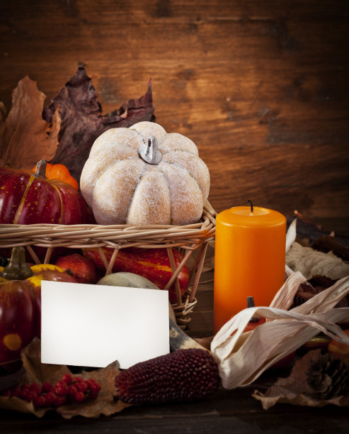 秋装空卡图片下载