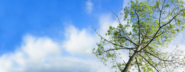 鸟瞰图图片下载