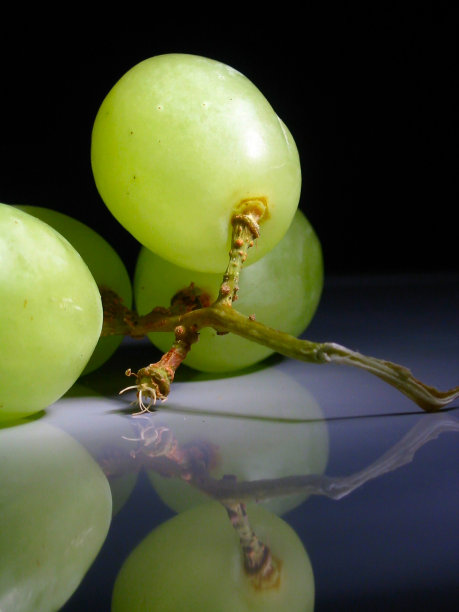 葡萄在聚光灯下图片下载