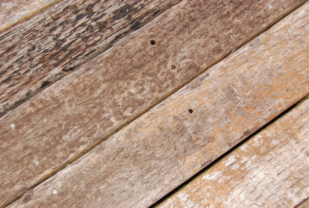 粗糙锯装饰图片下载