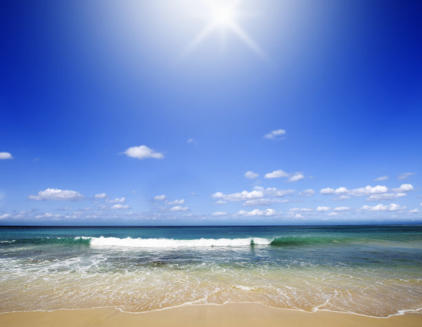 田园诗般的热带海滩背光与阳光图片下载