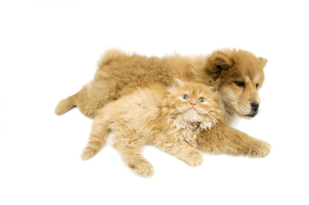 请不要碰我图片下载