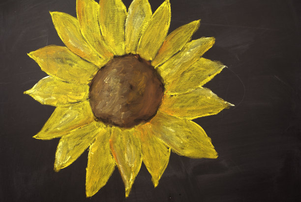 向日葵图片下载