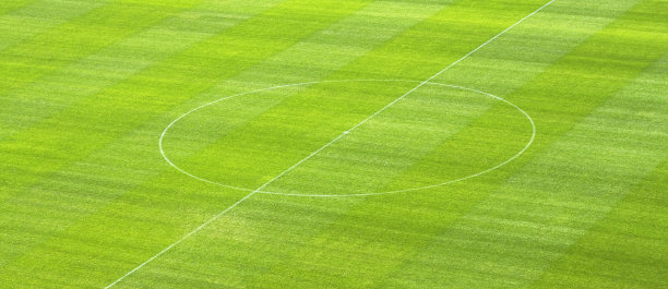 足球场，中圈图片下载