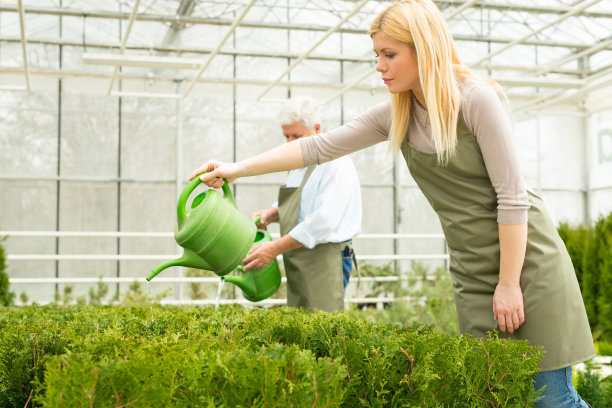 花匠在温室里浇花图片下载