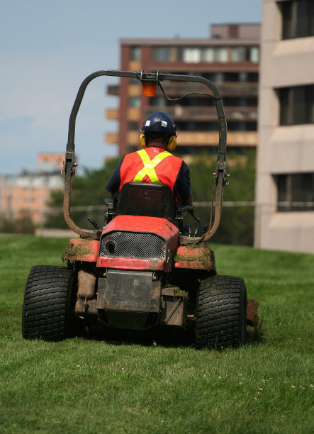 骑割草机图片下载