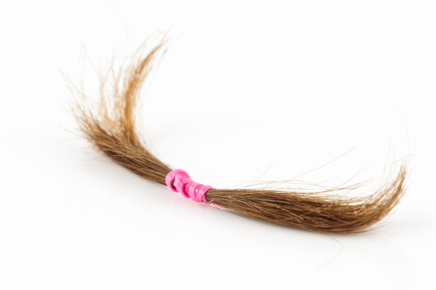 头发上绑着橡皮筋孤立白色图片下载