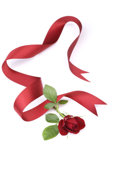 红玫瑰与丝带图片下载